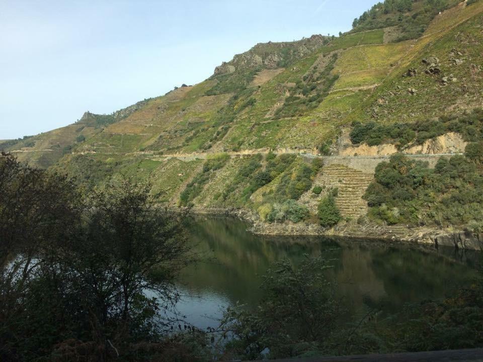 Acogedor Apartamento Ribeira Sacra 蒙福特·德·莱蒙斯 外观 照片