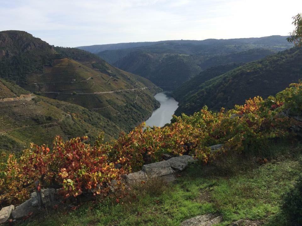 Acogedor Apartamento Ribeira Sacra 蒙福特·德·莱蒙斯 外观 照片